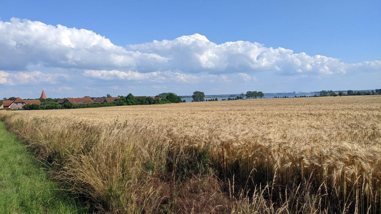 Ferien Auf Der Insel Poel Appartement Kirchdorf  Buitenkant foto
